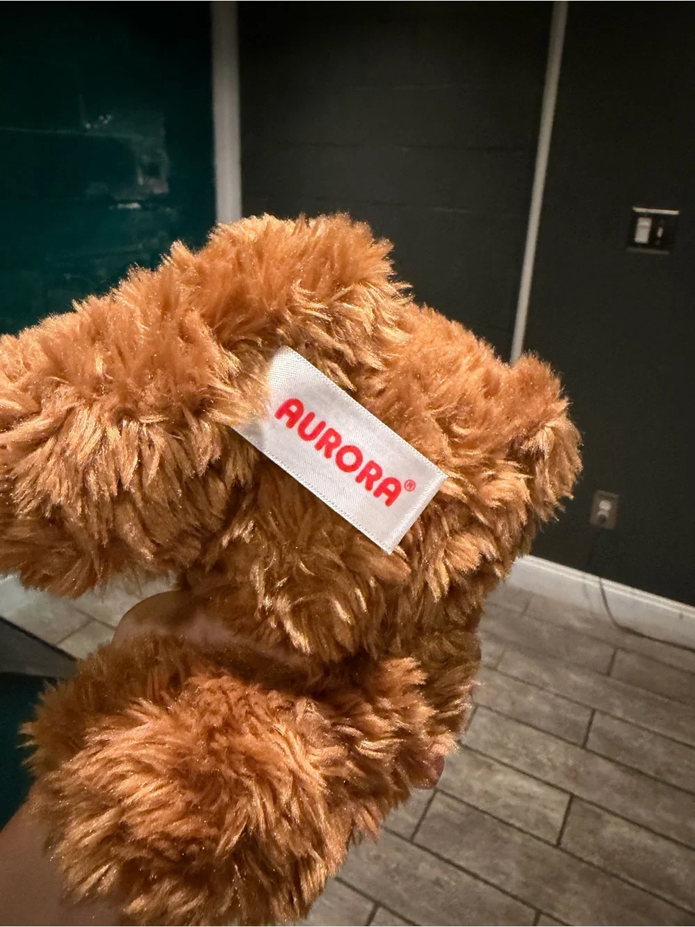 BNWT Graduation Bear Aurora